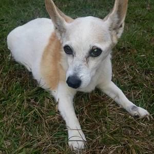 Meet your Posher, Pat